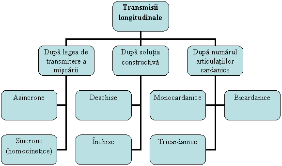 Organization Chart