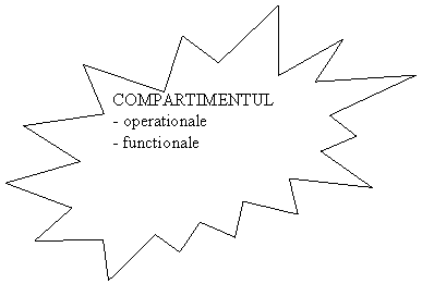 Explosion 2: COMPARTIMENTUL
- operationale
- functionale
