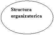 Oval: Structura organizatorica