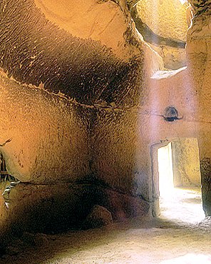 67541_sinca_veche