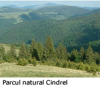 cindrel
