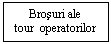 Text Box: Brosuri ale
tour  operatorilor operatorilor

