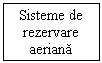 Text Box: Sisteme de rezervare aeriana